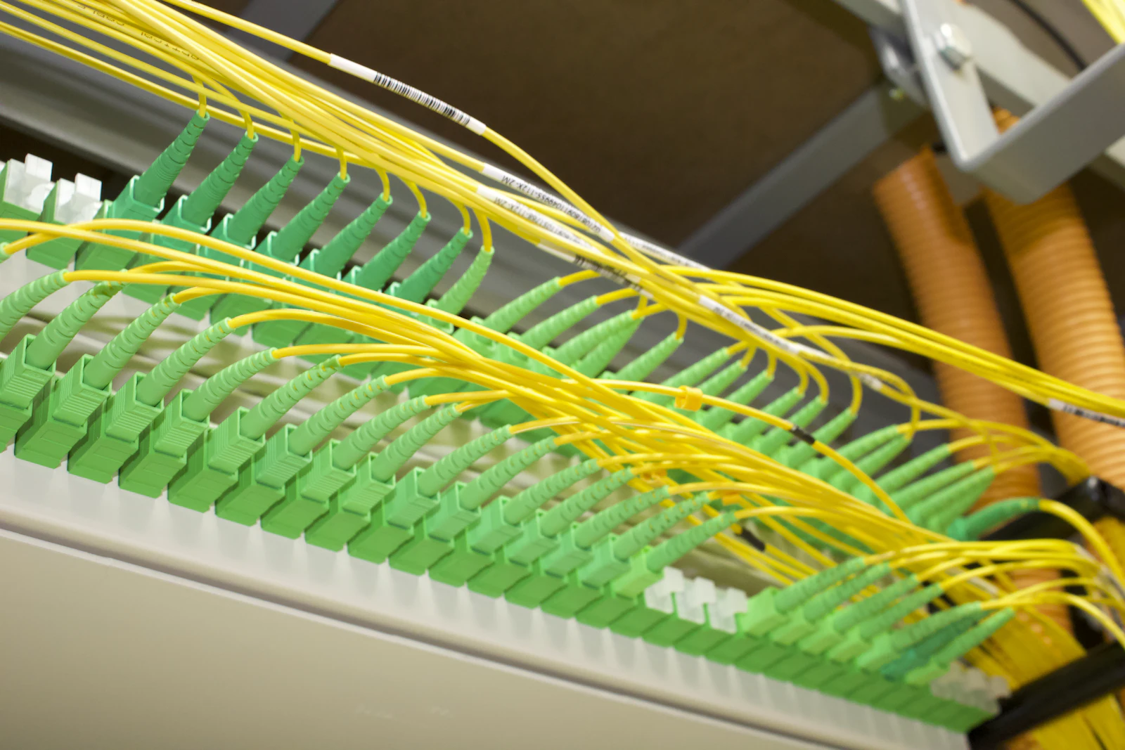 Connecteurs optiques verts et jarretières jaunes dans un répartiteur fibre.